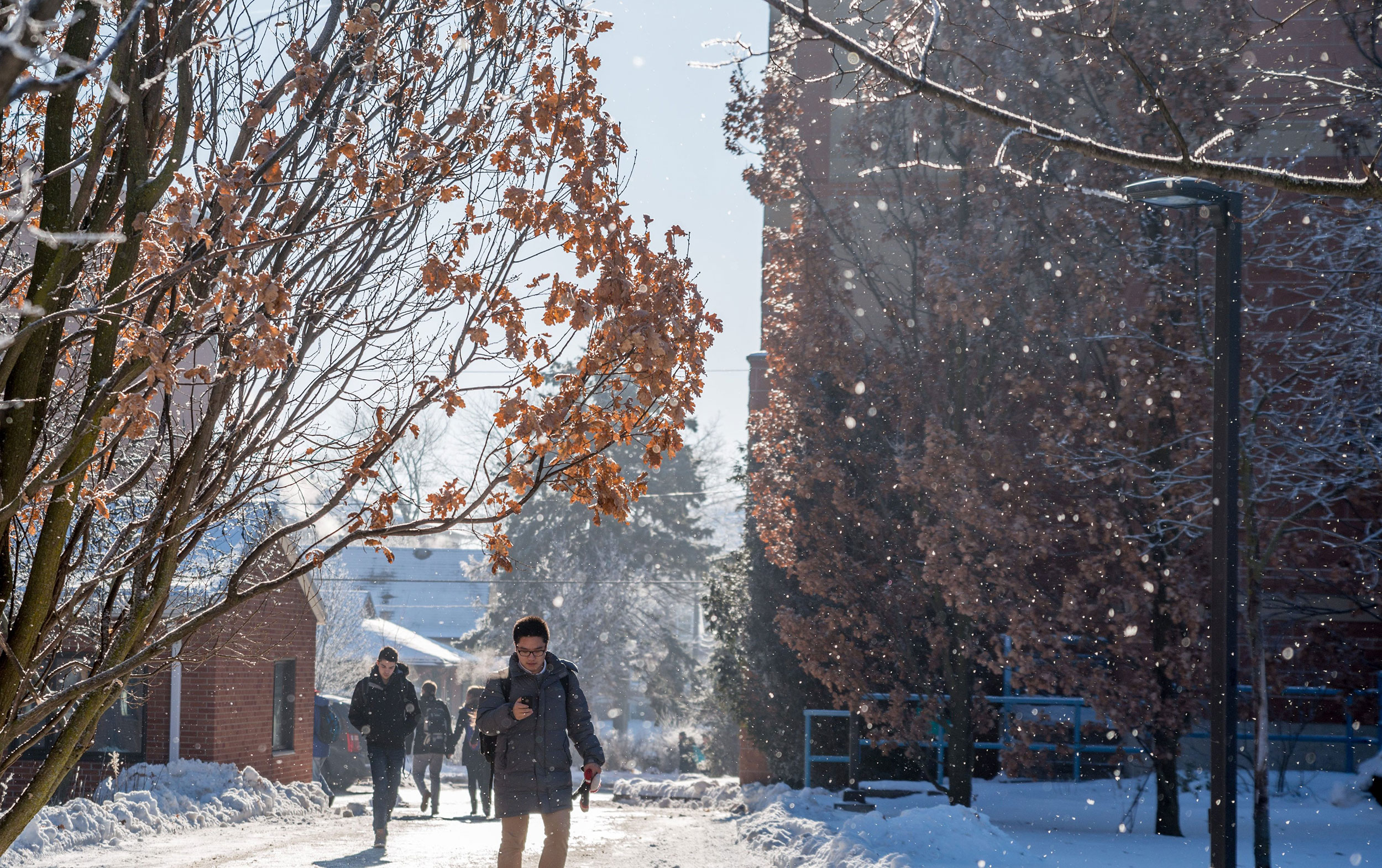 Campus in Winter