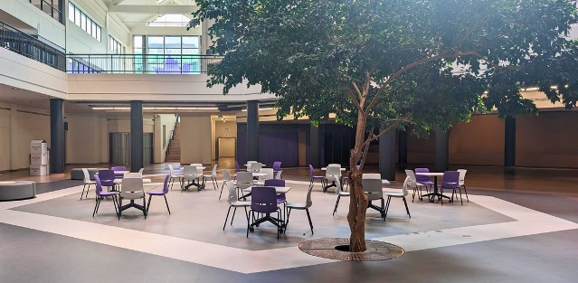 A group of tables at the centre on the lower level of an atrium next to a tree