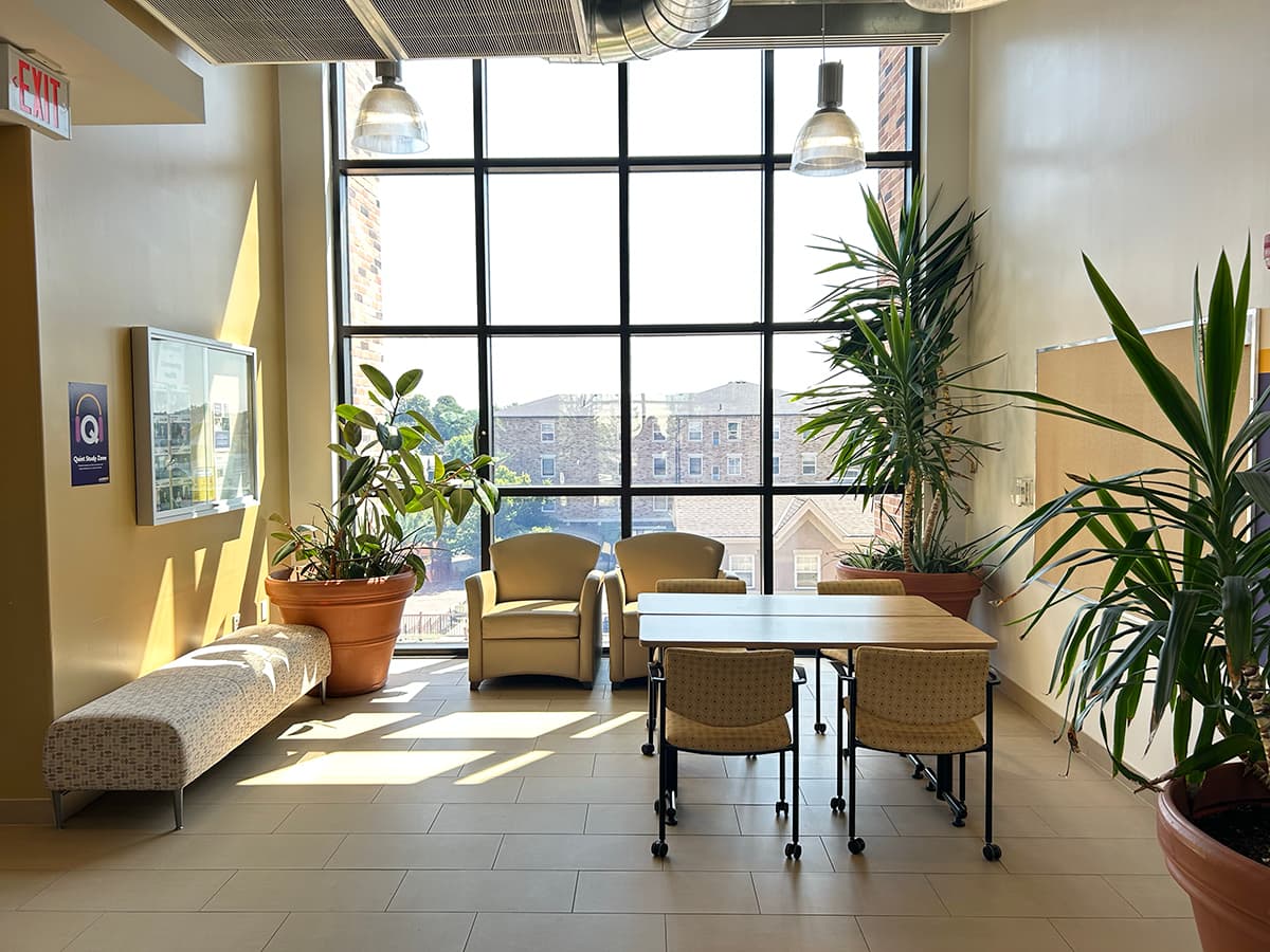 A desk, a bench and two lounge chairs in front of a large window surrounded by planters 