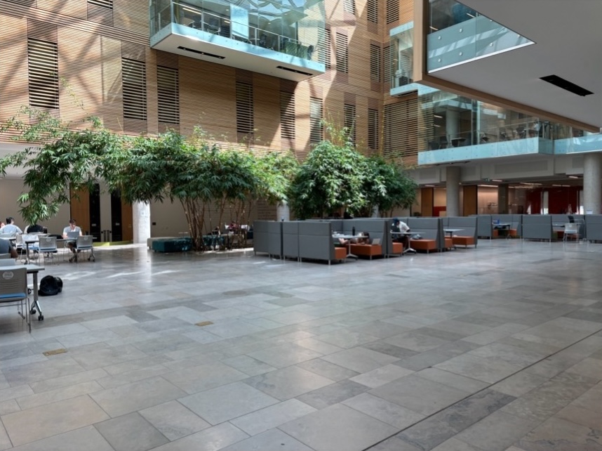 Open floor space with cubicles and trees in the background