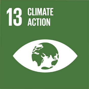 Sustainable Development Goal 13 Climate Action icon