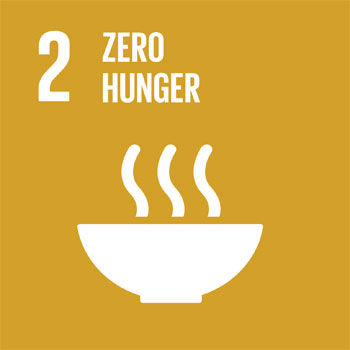 Sustainable Development Goal 2 Zero Hunger icon