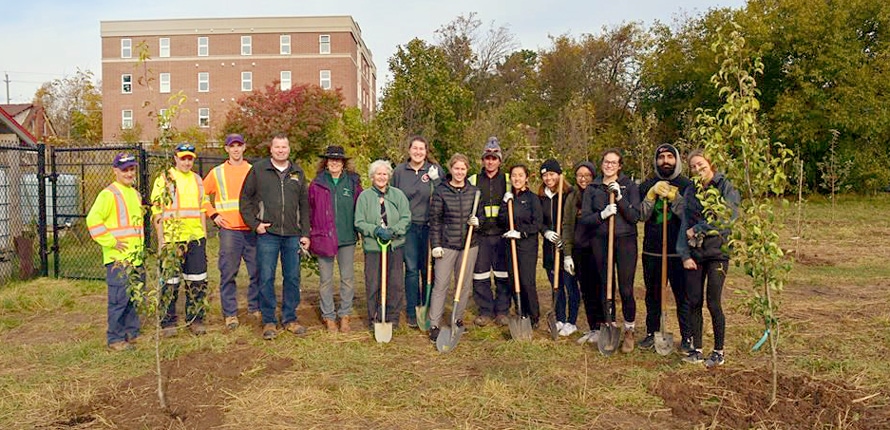 community-garden-banner.jpg