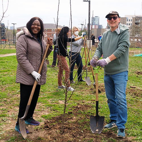 tree planting at Northdale garden