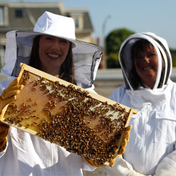 Staff members holding honey comb panel