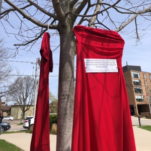 Red Dress hanging on Brantford campus.