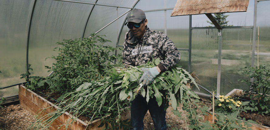 man in greenhouse