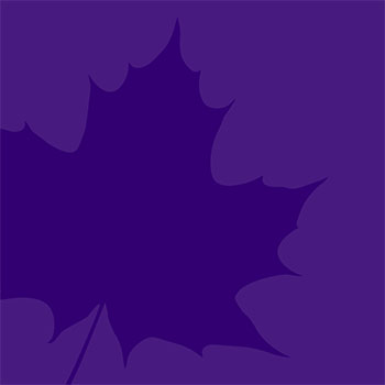 Image - Message on Canada Day from Laurier's president