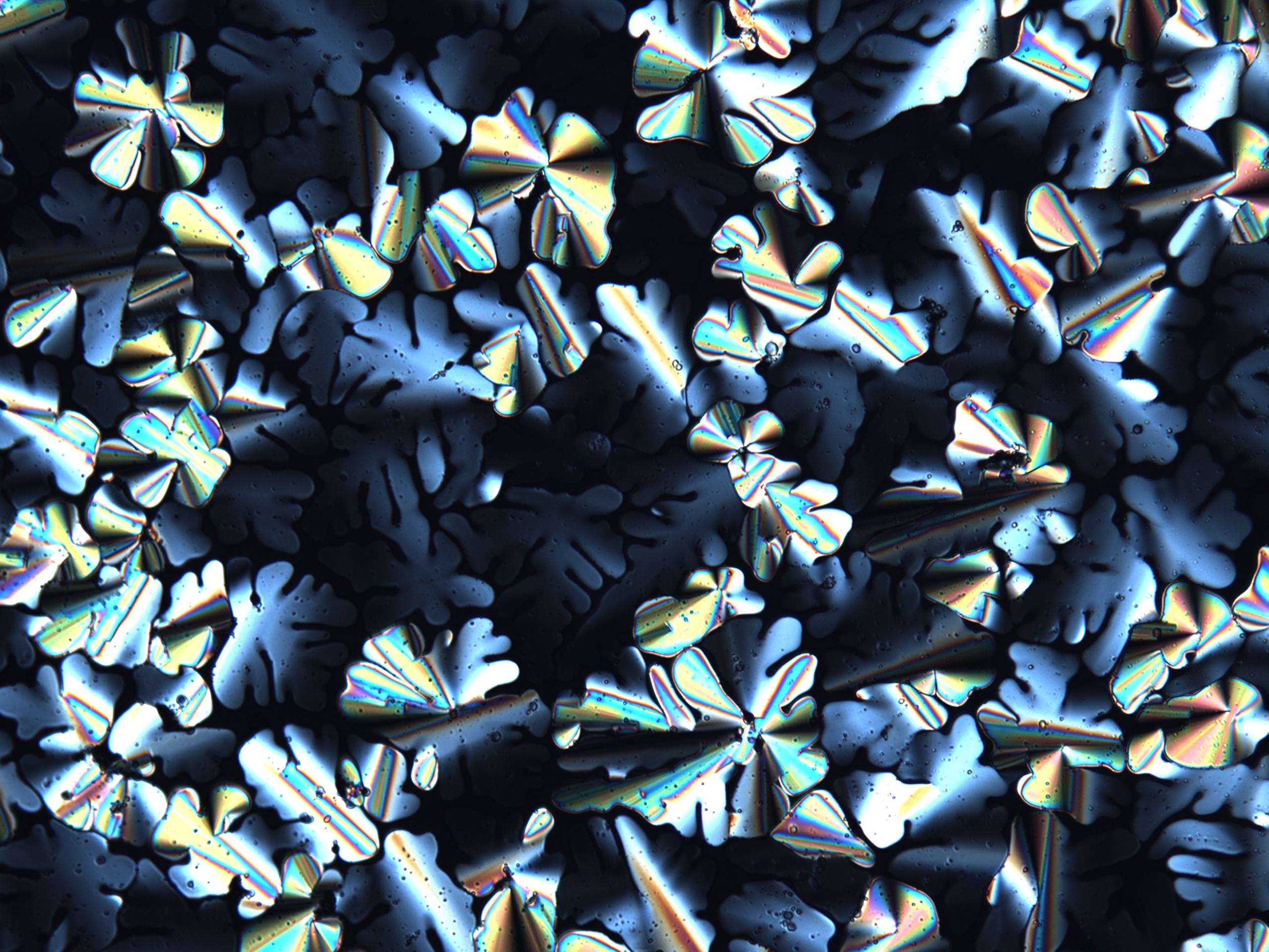 liquid crystal image