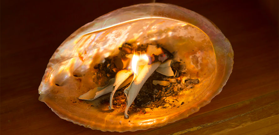 Burning medicine in shell