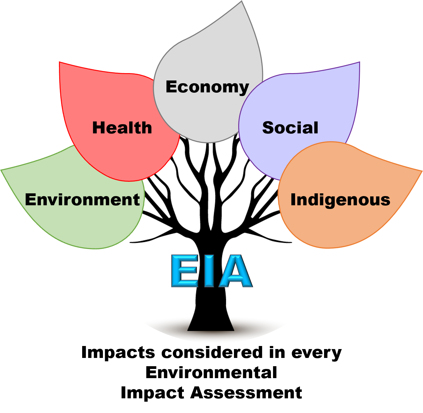 Figure 1 description: A tree with five large leaves representing the main impact categories considered in Environmental Impact Assessment. The leaves are labeled as environment, health, economy, social, and Indigenous.