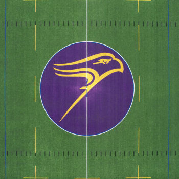 Alumni Field Golden Hawk 