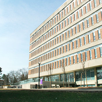 Library creates Project Management Office