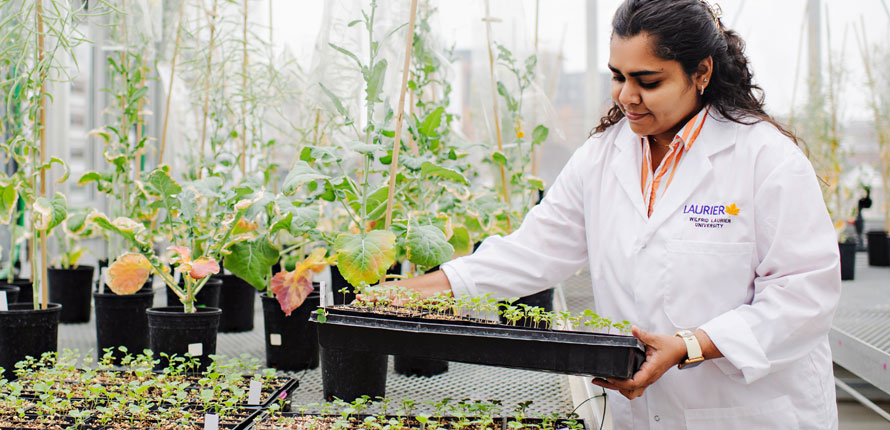 woman with plant tray in greenhouse