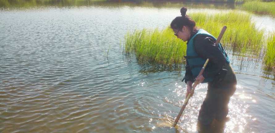 MSc student Vivian Gao demonstrating how to collect aquatic insects for water quality monitoring. Photo courtesy of Derek Gray.