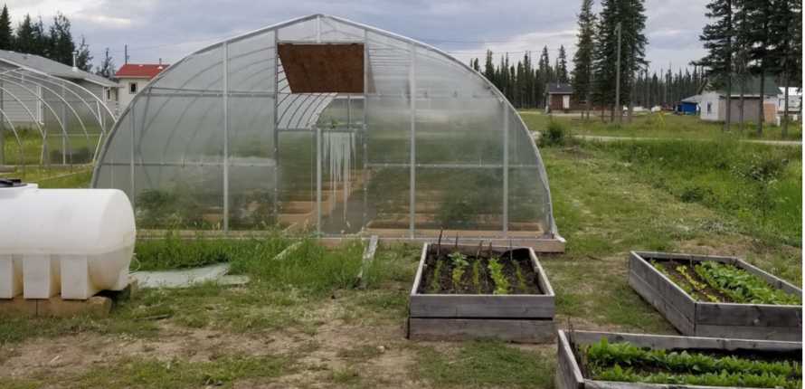 greenhouse and garden in Kakisa