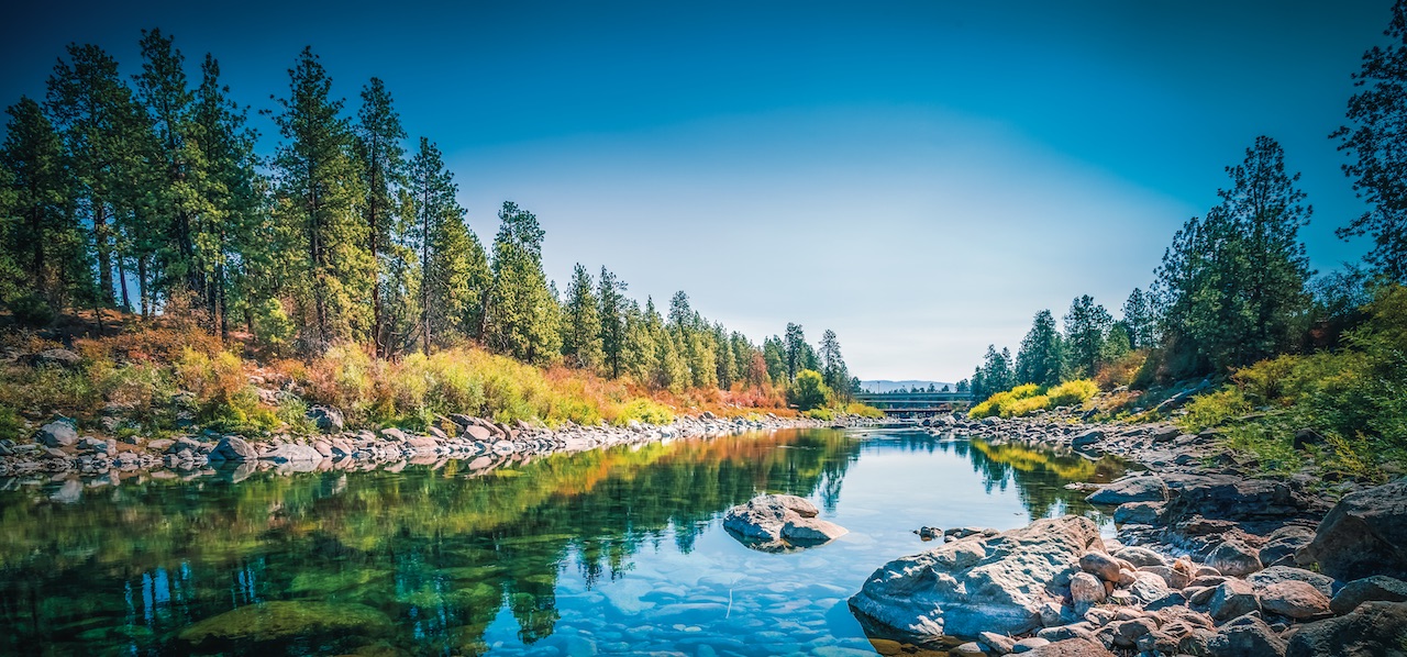 River and trees