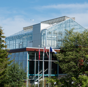 Greenhouse and trees