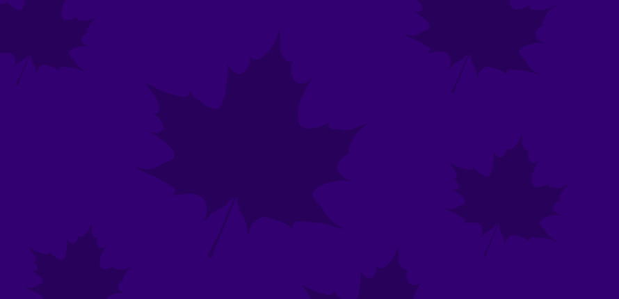 Purple leaves on a purple background