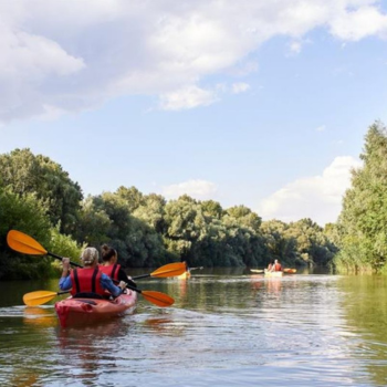 Inspiration and healing on the 'River of Life' - Laurier’s Indigenous community paddles the Grand River
