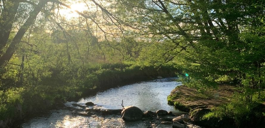 A stream at sunset