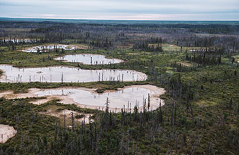 NWT 1