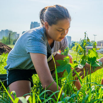 student working in garden