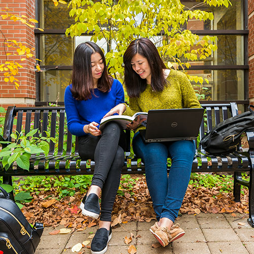 students studying outside