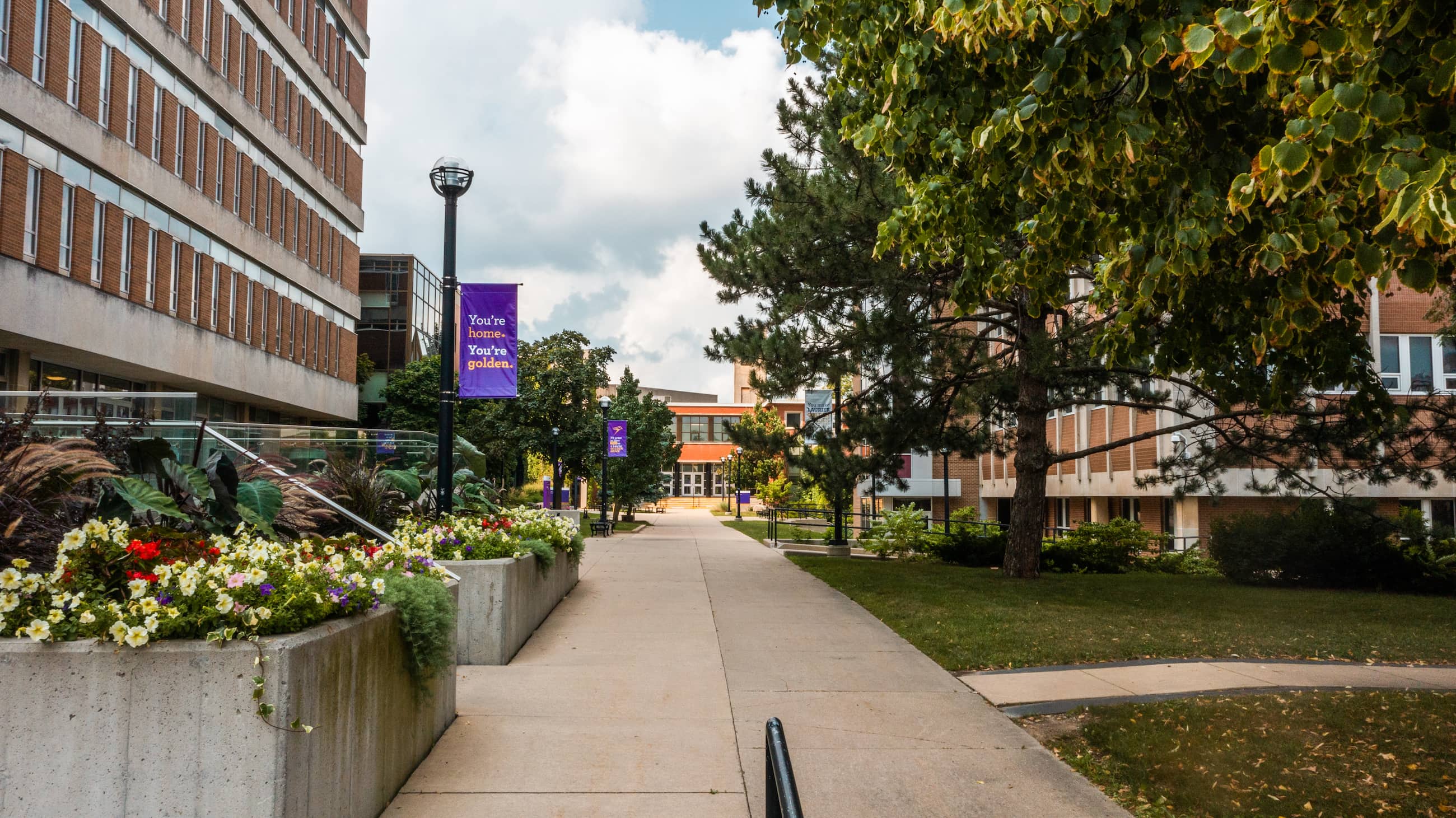 Waterloo campus library