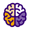 brain
