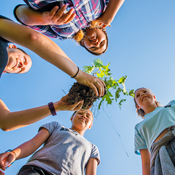 Kids planting a tree