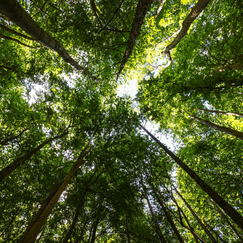 Laurier signs climate change charter.