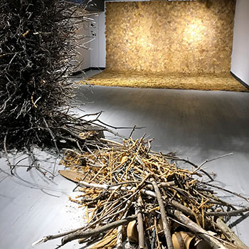 Image - Robert Langen Art Gallery features exhibition by artist Penelope Stewart