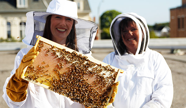 Monaghan poses with bees from the Brantford campus Apiary.