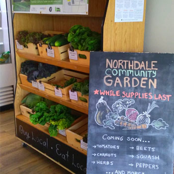 Image - Veritas Café hosts market featuring produce grown in Laurier’s Northdale community garden