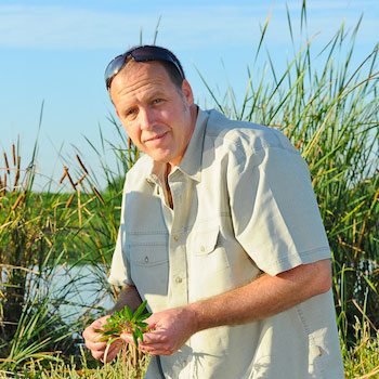 Laurier biologist working on conserving wetlands and building new ones