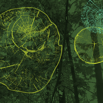 Image - Indigenist Research Symposium, Dec. 4, to feature talks on land, democracy, intimacy