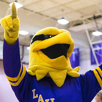 Hawk mascot