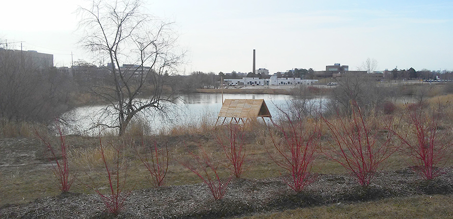 Nature area at evolv1 building