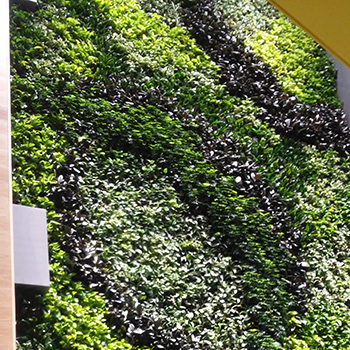 Exhibit by PhD researchers explores employee experiences in green building.