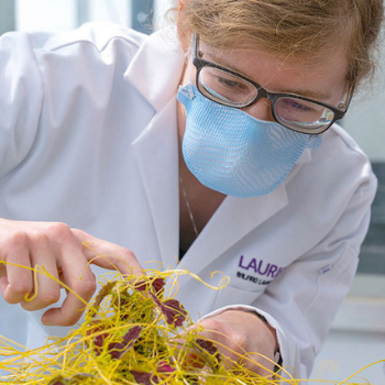 Image - Celebrating Laurier women in science