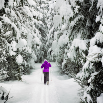 Image - Laurier’s Sun Life Centre for Physically Active Communities hosts Community Physical Activity Challenge throughout February