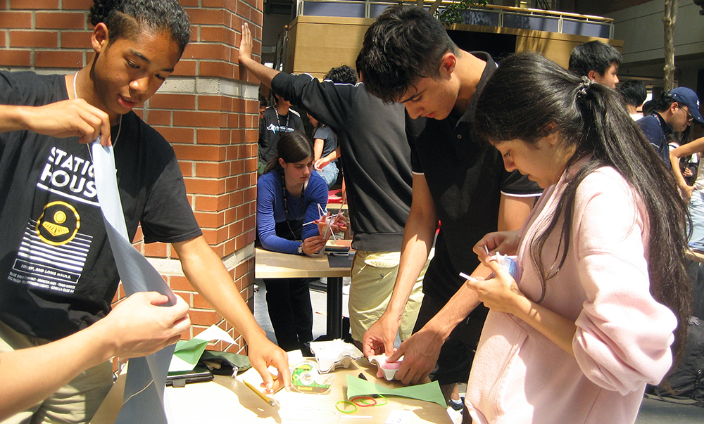 Shad program participants