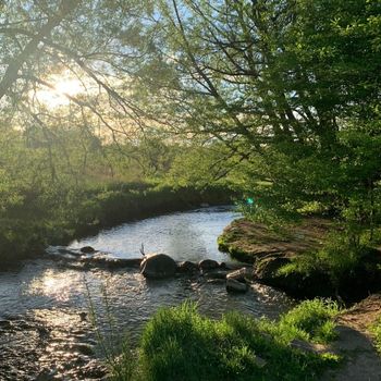 Canadians more likely to engage with nature if prescribed by a doctor.
