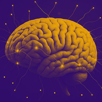 Illustration of a brain