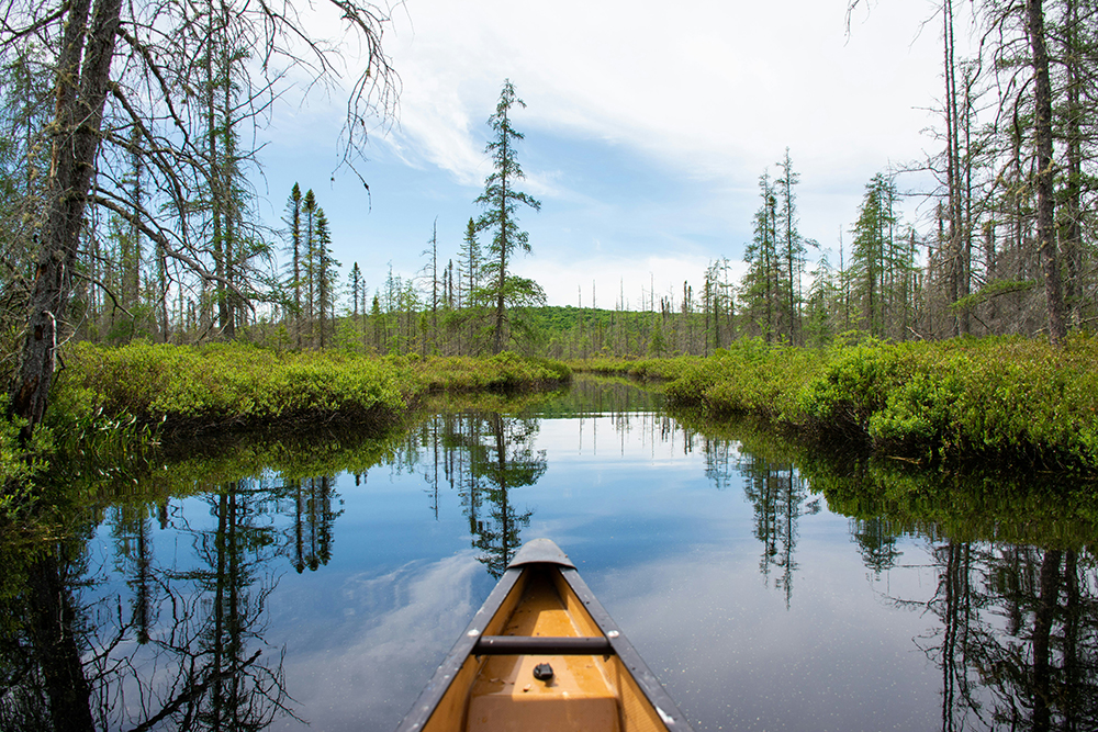 Canoe in Algonquin Park