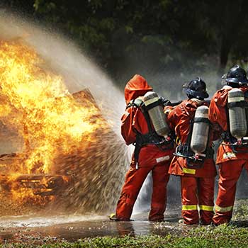 Public Safety (BA): Canada’s first online, undergraduate program in public safety.