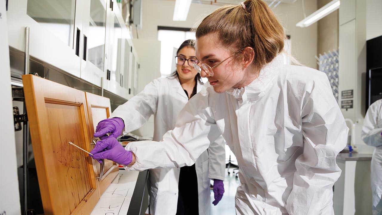 two criminology students studying blood splatter